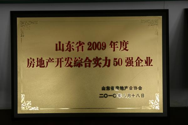 2009年山東省房地產開發(fā)綜合實力50強企業(yè)